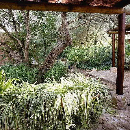 Tikal Boungalows פארק נופש Malcocinado (Andalucia)